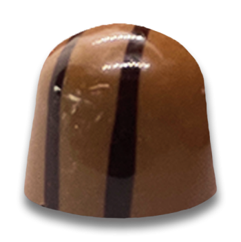 Hazelnut Gianduja Delight