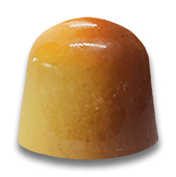Macadamia & Vanilla Harmony